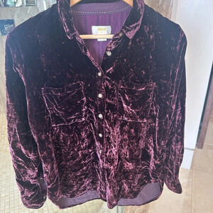 Mauve Anthropology Exquisite Velvet Shirt